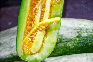 武都网红吃瓜群众是谁啊,揭秘武都网红“吃瓜群众”的真实身份  第3张