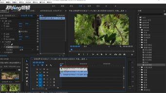 残影爆料视频,一窥幕后真相 第3张 残影爆料视频,一窥幕后真相 第3张